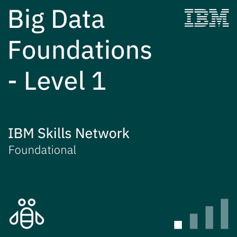 IBM Big Data